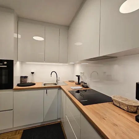 Apartmán Martin In The Center Lublaň