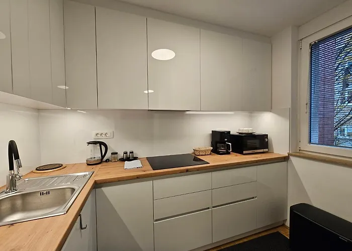 Martin In The Center Apartment Laibach